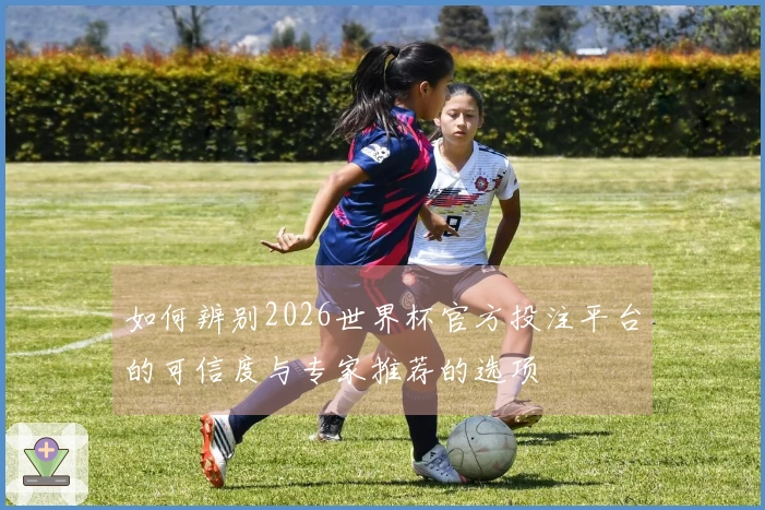 如何辨别2026世界杯官方投注平台的可信度与专家推荐的选项